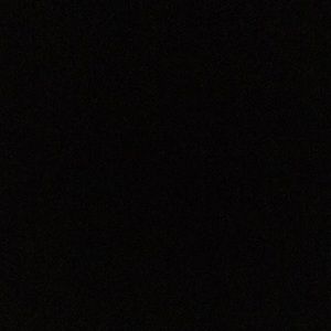 Meet your Posher, Myles